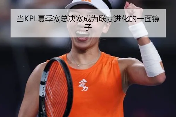 当KPL夏季赛总决赛成为联赛进化的一面镜子
